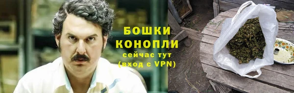 шишки Нефтекумск